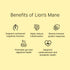 LION'S MANE | High Potency Organic Mushroom Extract